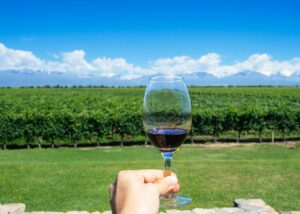 čaša vina crvena vina malbec