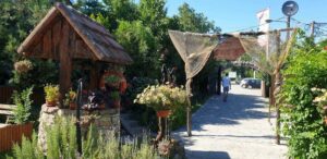 1 Goca i Renato Joca Tabor