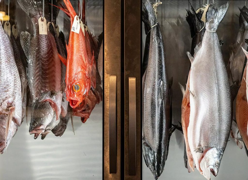 Dry aged fish Kristijan Marenic