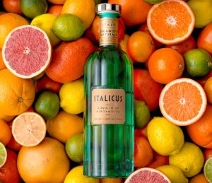 Italicus liker
