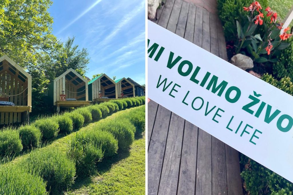 zornica kuca sadrzaj za decu